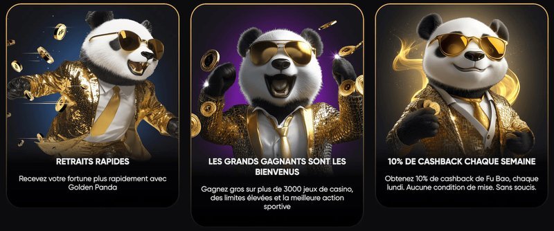 Golden panda, golden panda connexion